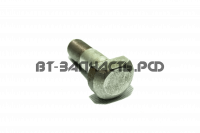 Болт призонный 77.39.109